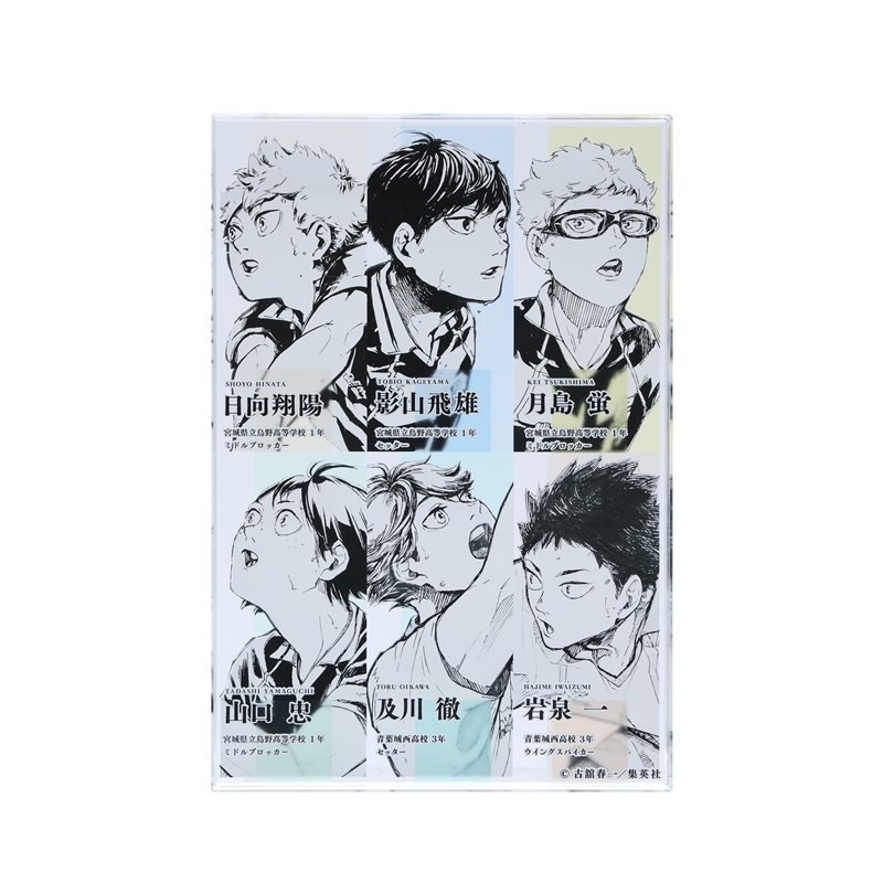 『ハイキュー！！』アクリルブロック　日向翔陽＆影山飛雄＆月島蛍＆山口忠＆及川徹＆岩泉一　【仙台観光特使就任記念Ｖｅｒ．】　ＢＥ３