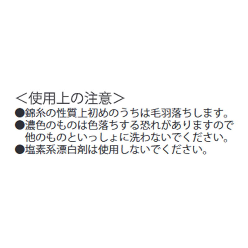 『忘却バッテリー』応援タオル　清峰葉流火　ＢＥ４－ＪＳ
