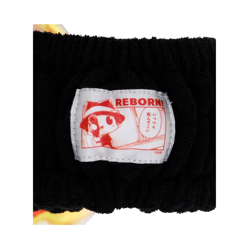 『家庭教師ヒットマンＲＥＢＯＲＮ！』死ぬ気の炎ヘアバンド　＜天野明展＞　ＢＤ２