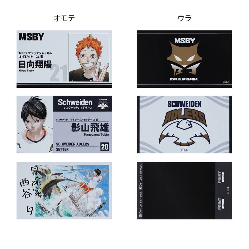 『ハイキュー！！』名刺カードコレクション　第１弾　全種セット　（全１５種入り）　＜ハイキュー！！　ＦＡＮ　ＰＡＲＫ＞　ＢＥ２