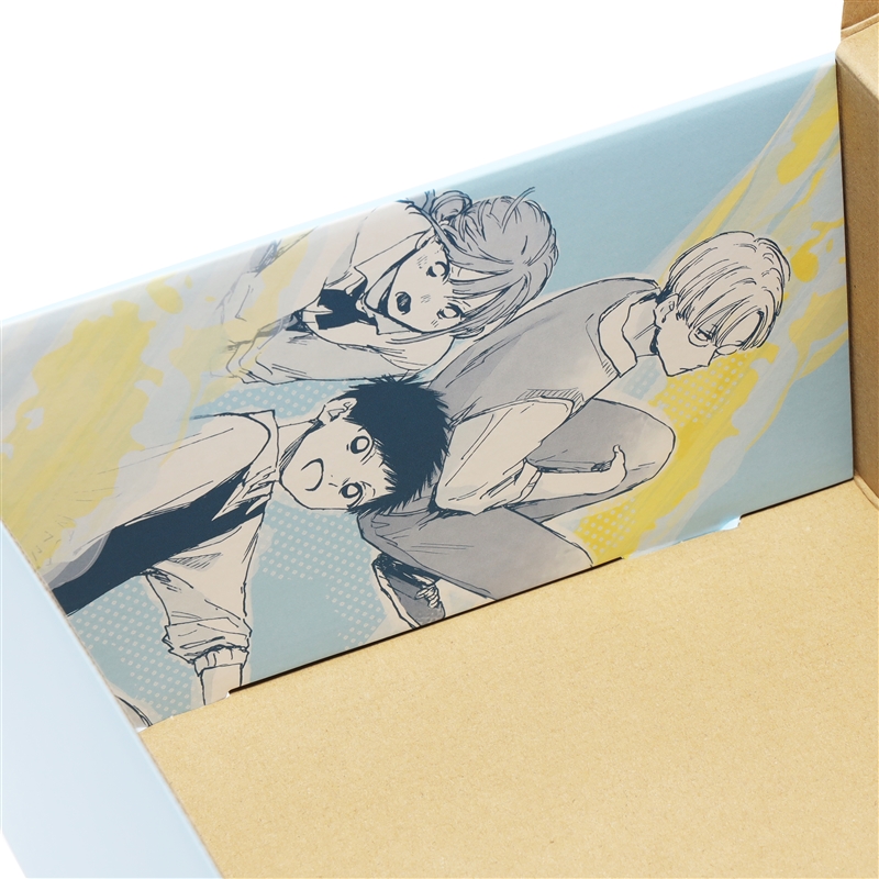 『アオのハコ』シューズボックス風収納ケース（２個セット）　ＢＤ２