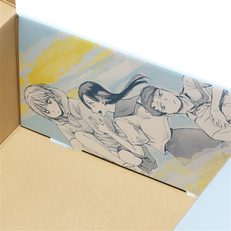 『アオのハコ』シューズボックス風収納ケース（２個セット）　ＢＤ２