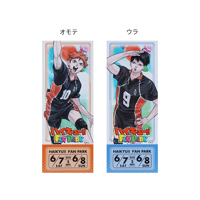『ハイキュー！！』チケットホルダー＆カードホルダー（チケット風カード１枚＆バックステージパス風カード１枚入り）　キービジュアル　＜ハイキュー！！　ＦＡＮ　ＰＡＲＫ＞　ＢＥ２