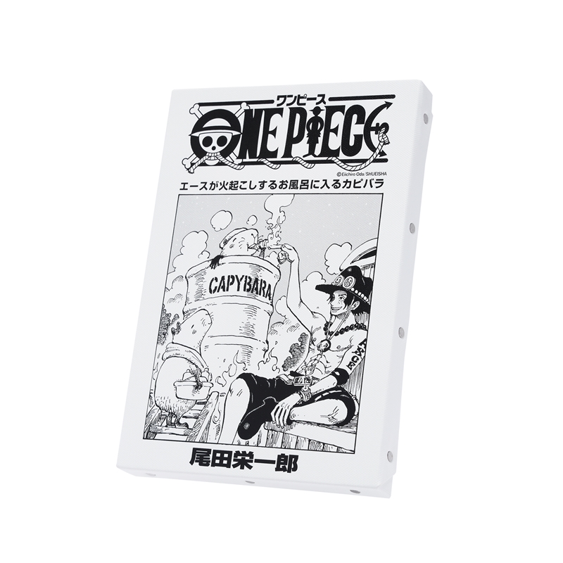 『ONE PIECE』扉絵アートボード エース(107巻・1087話) BD3