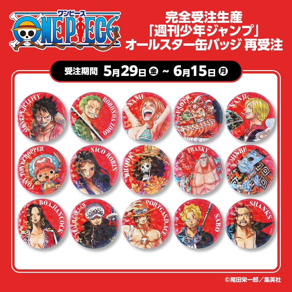 完全受注生産「週刊少年ジャンプ」オールスター缶バッジ『ONE PIECE』再受注